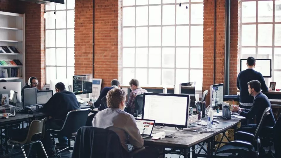 Как выбрать веб-студию в Новоржеве по кейсам