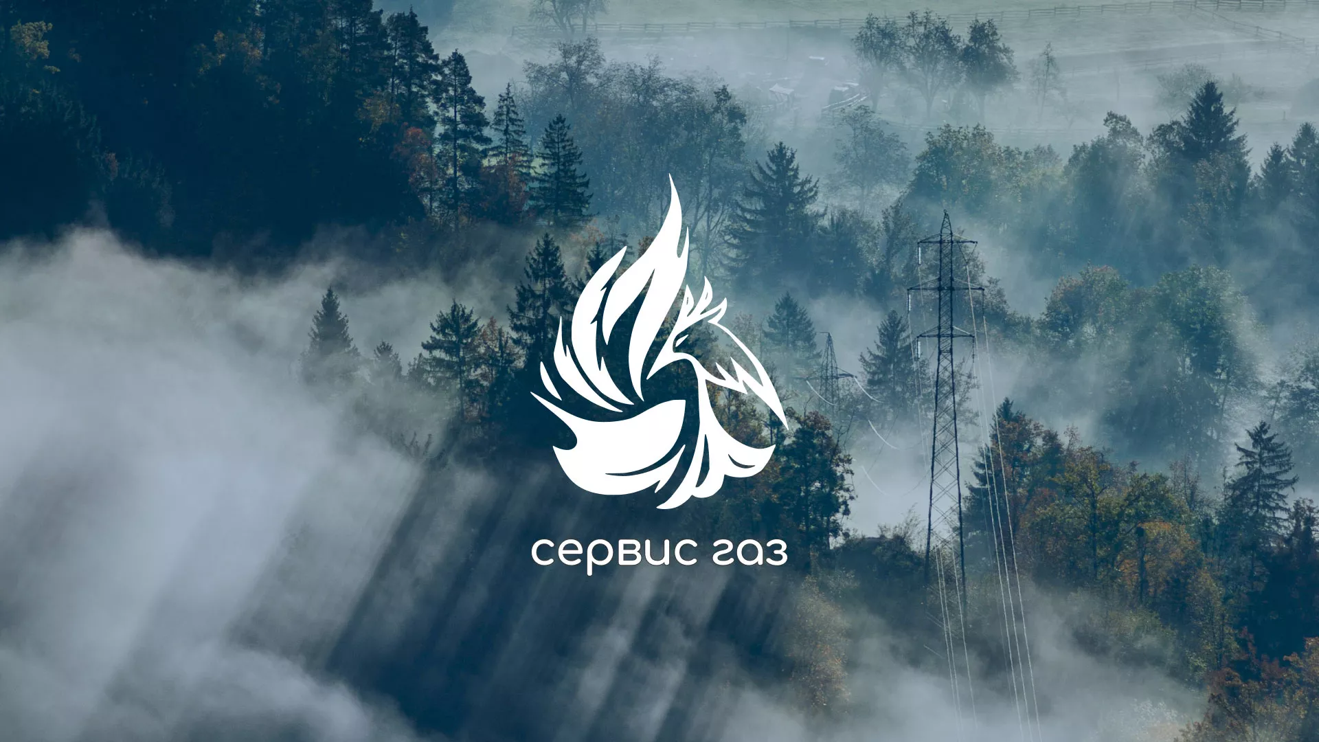 Создание сайта компании «Сервис газ» в Новоржеве