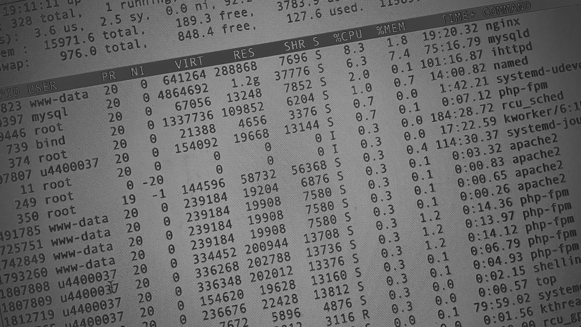 Настройка сервера в Новоржеве