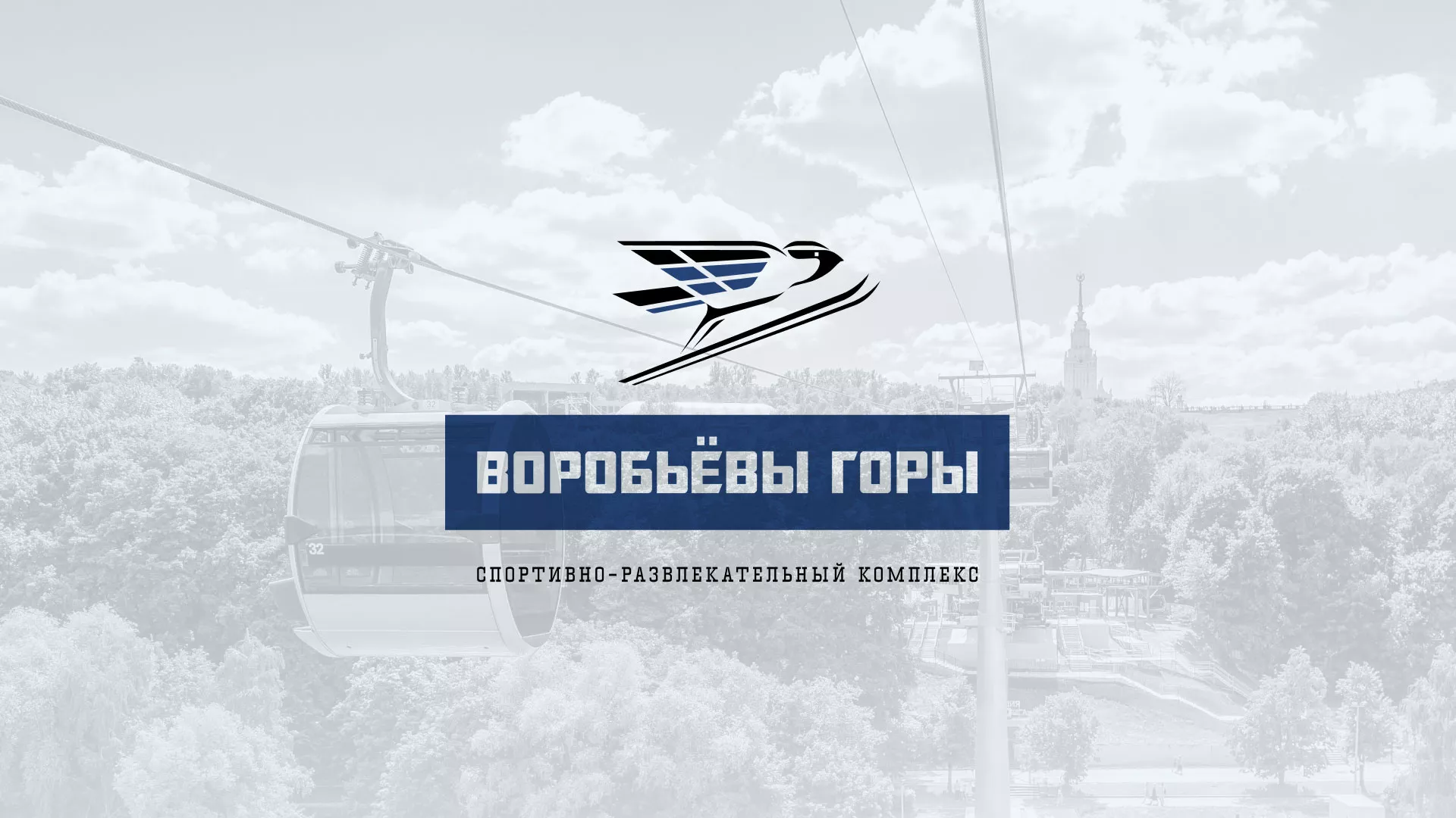 Разработка сайта в Новоржеве для спортивно-развлекательного комплекса «Воробьёвы горы»