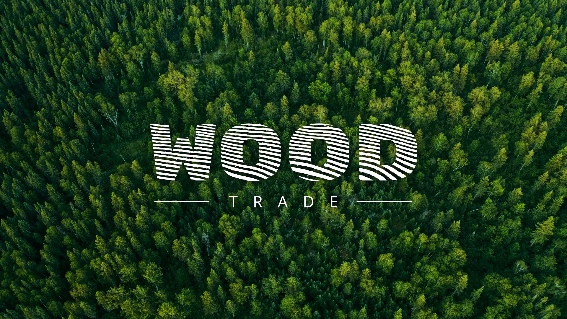 Разработка интернет-магазина компании «Wood Trade» в Новоржеве